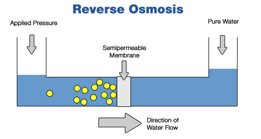 How-Important-Is-a-Reverse-Osmosis-System