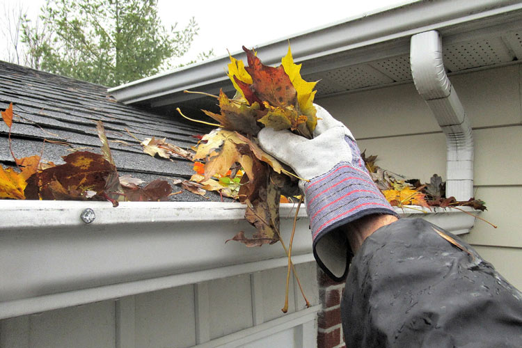 A man removing fallen leaves from his home's gutter